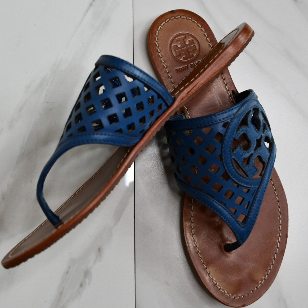 Tory Burch Blue and Brown Sandals